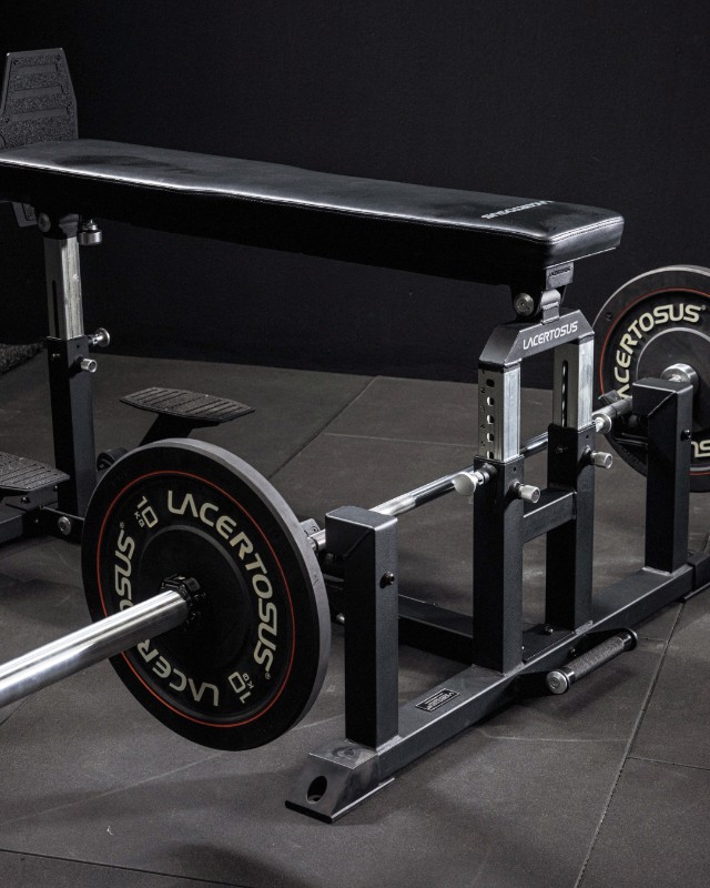 Kettlebell Lacertosus