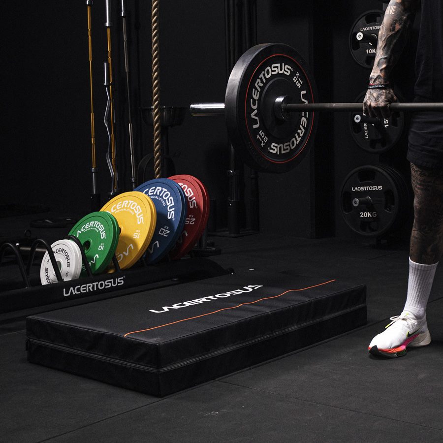 Palestra con attrezzi da sollevamento pesi e dischi colorati Lacertosus.